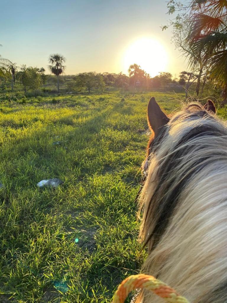 ティシミン Casitas At Rancho Kuxtalヴィラ エクステリア 写真