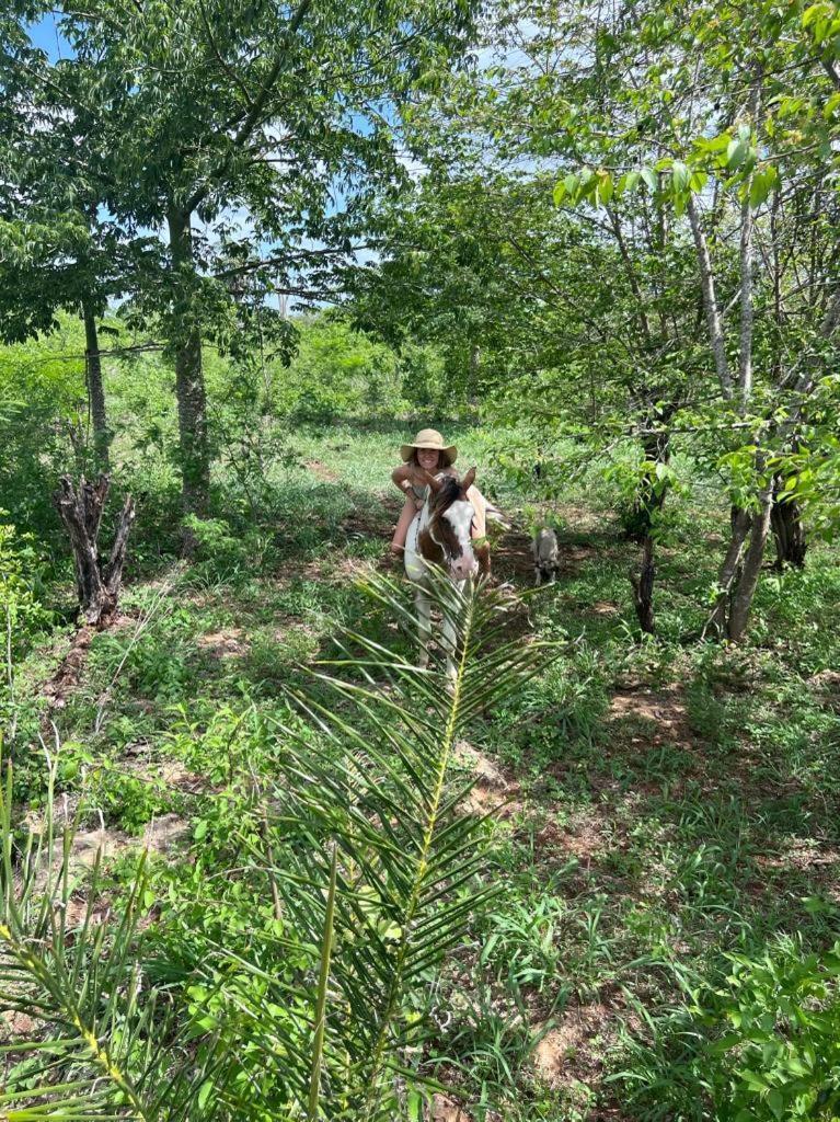 ティシミン Casitas At Rancho Kuxtalヴィラ エクステリア 写真