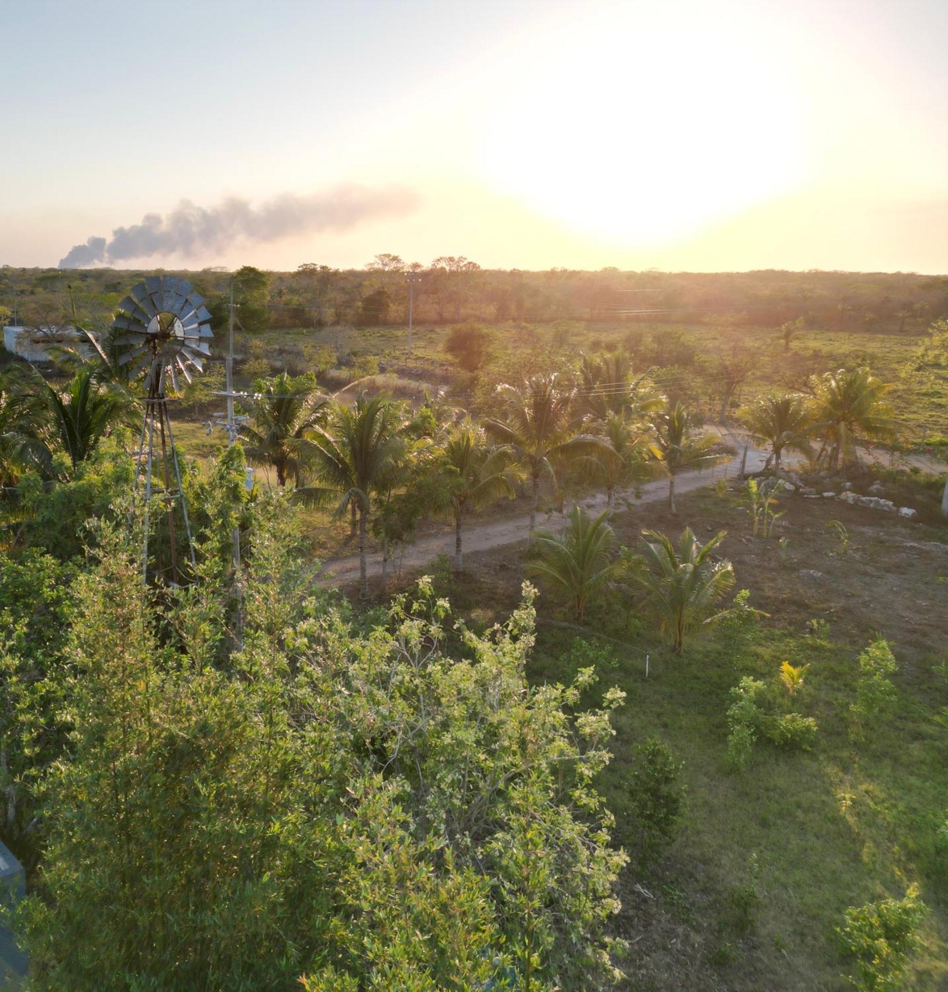 ティシミン Casitas At Rancho Kuxtalヴィラ エクステリア 写真