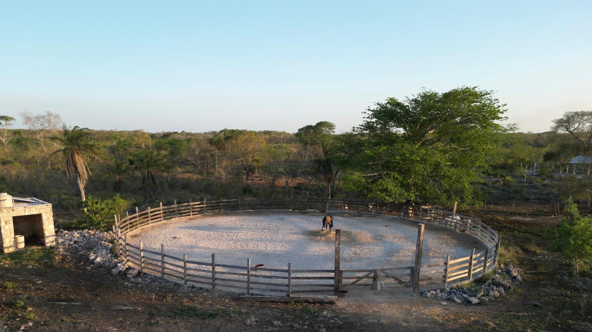 ティシミン Casitas At Rancho Kuxtalヴィラ エクステリア 写真