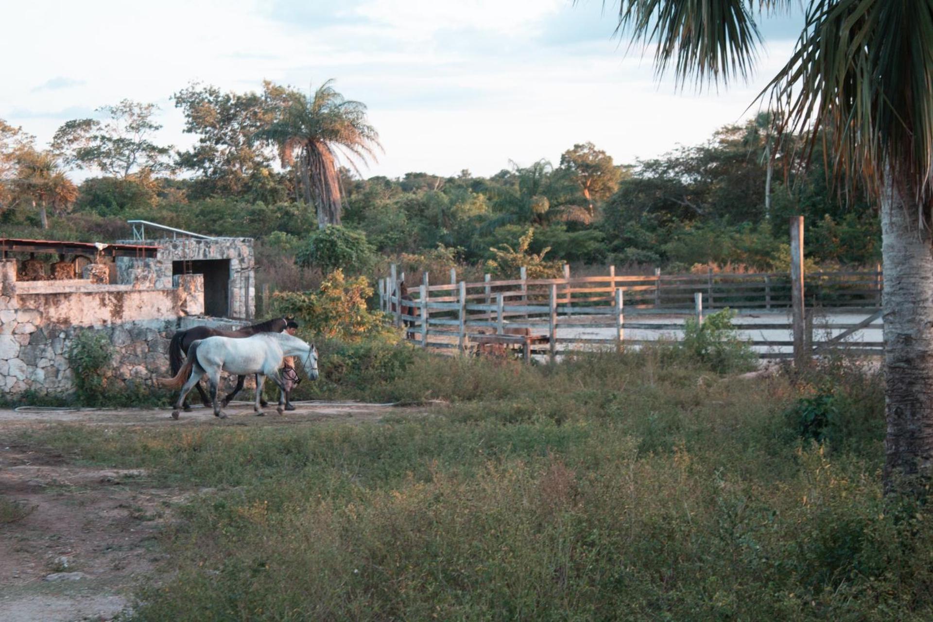 ティシミン Casitas At Rancho Kuxtalヴィラ エクステリア 写真