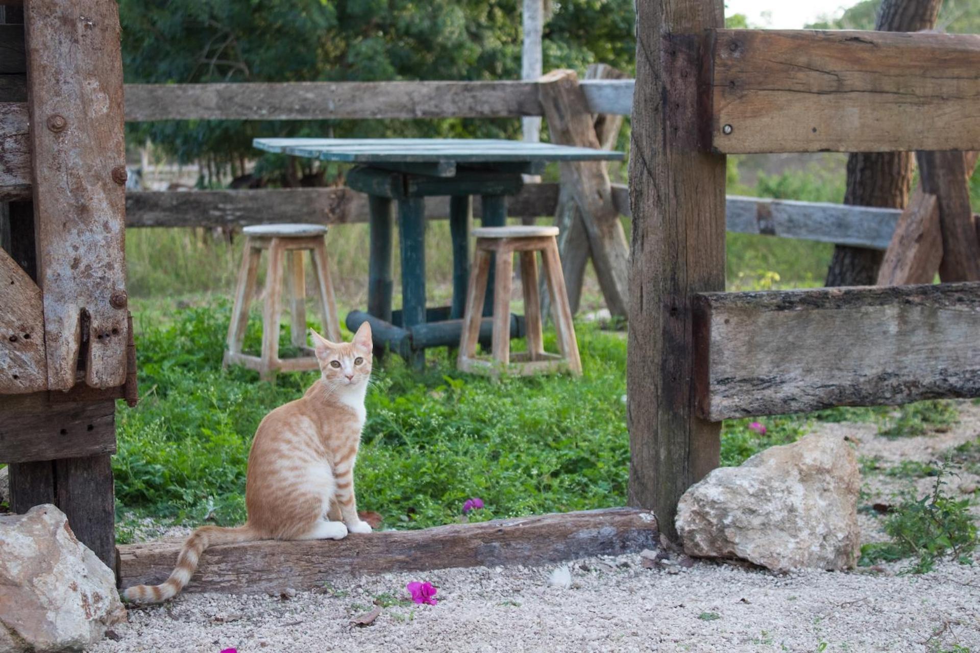 ティシミン Casitas At Rancho Kuxtalヴィラ エクステリア 写真